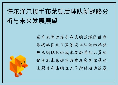 许尔泽尔接手布莱顿后球队新战略分析与未来发展展望